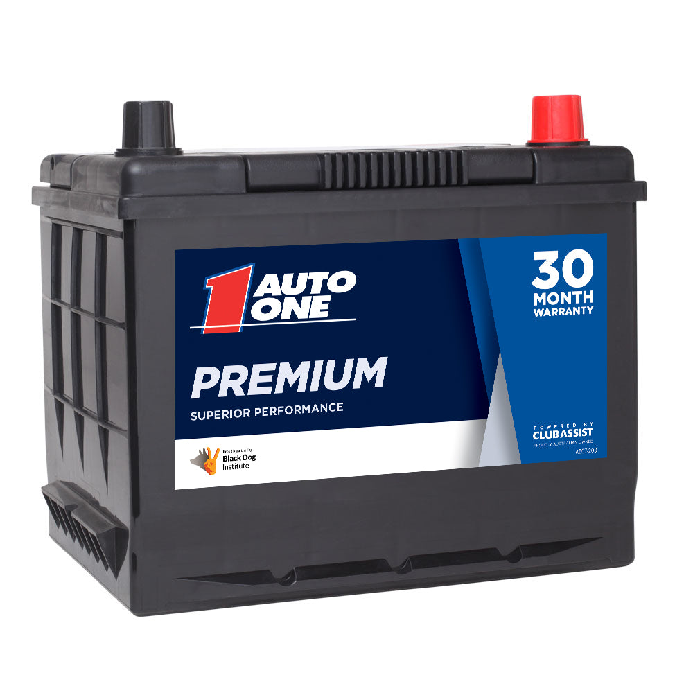 Auto One 2542 Premium Calcium Maintenance-Free 12V Battery (58VT