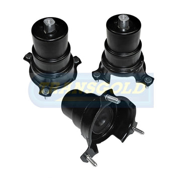 Transgold Engine Mount - TEM3408 - (Single)