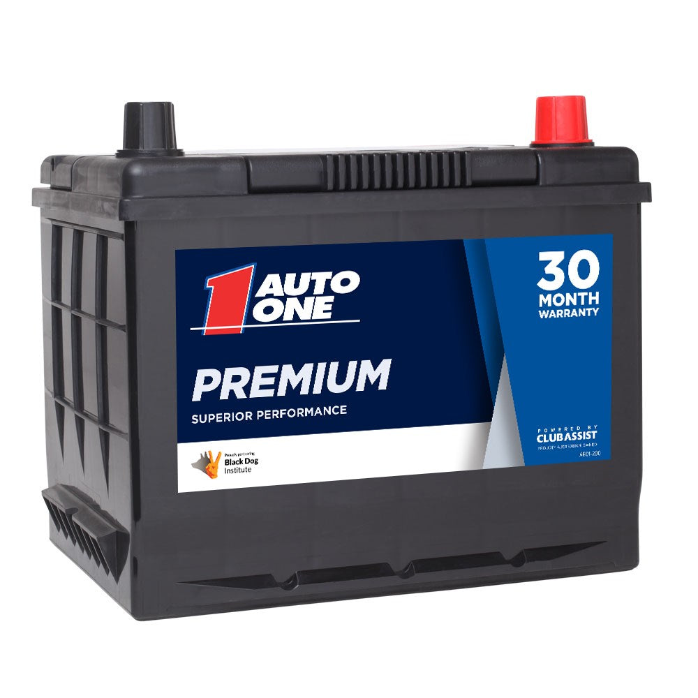 Auto One 2542 Premium Calcium Maintenance-Free 12V Battery