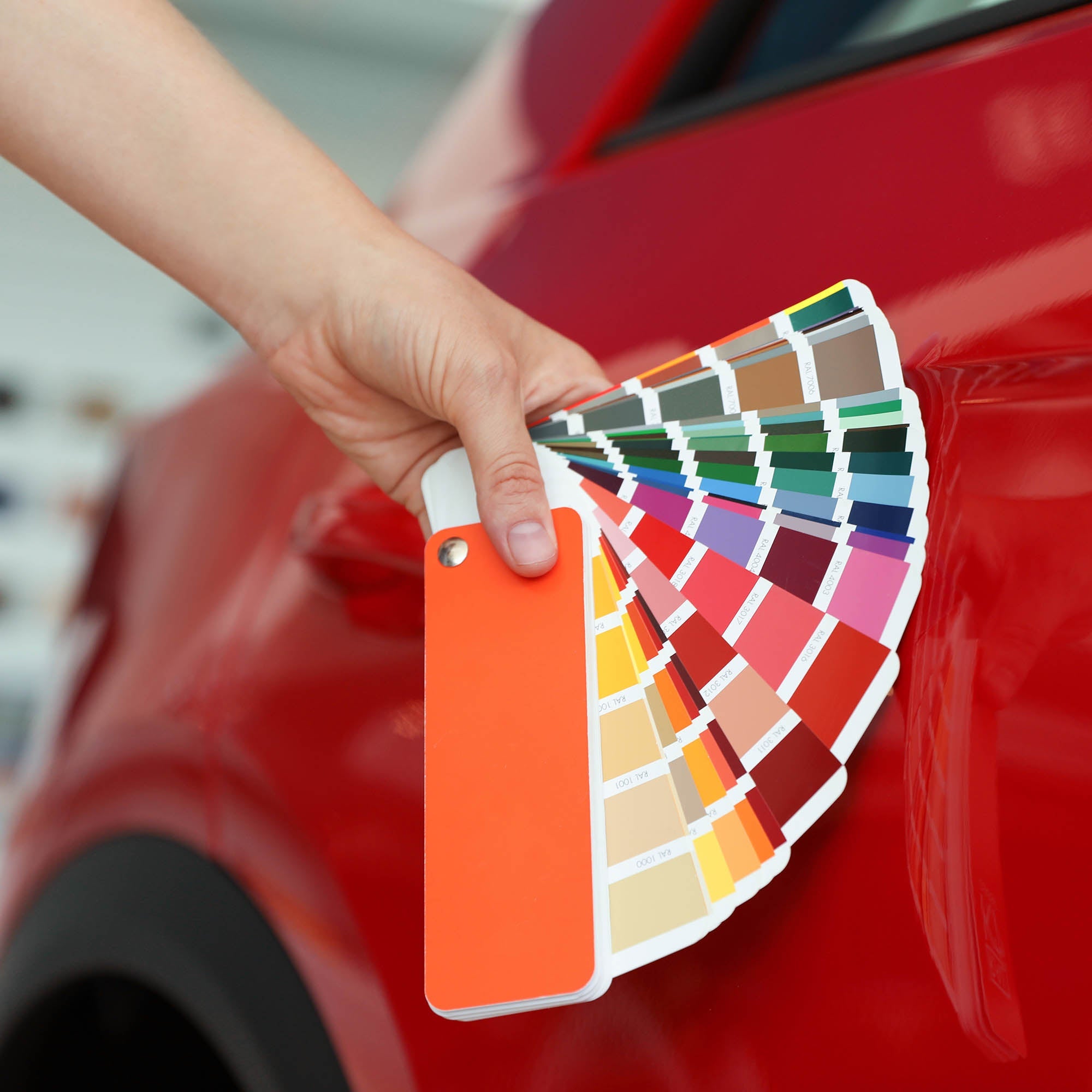 Paint & Panel