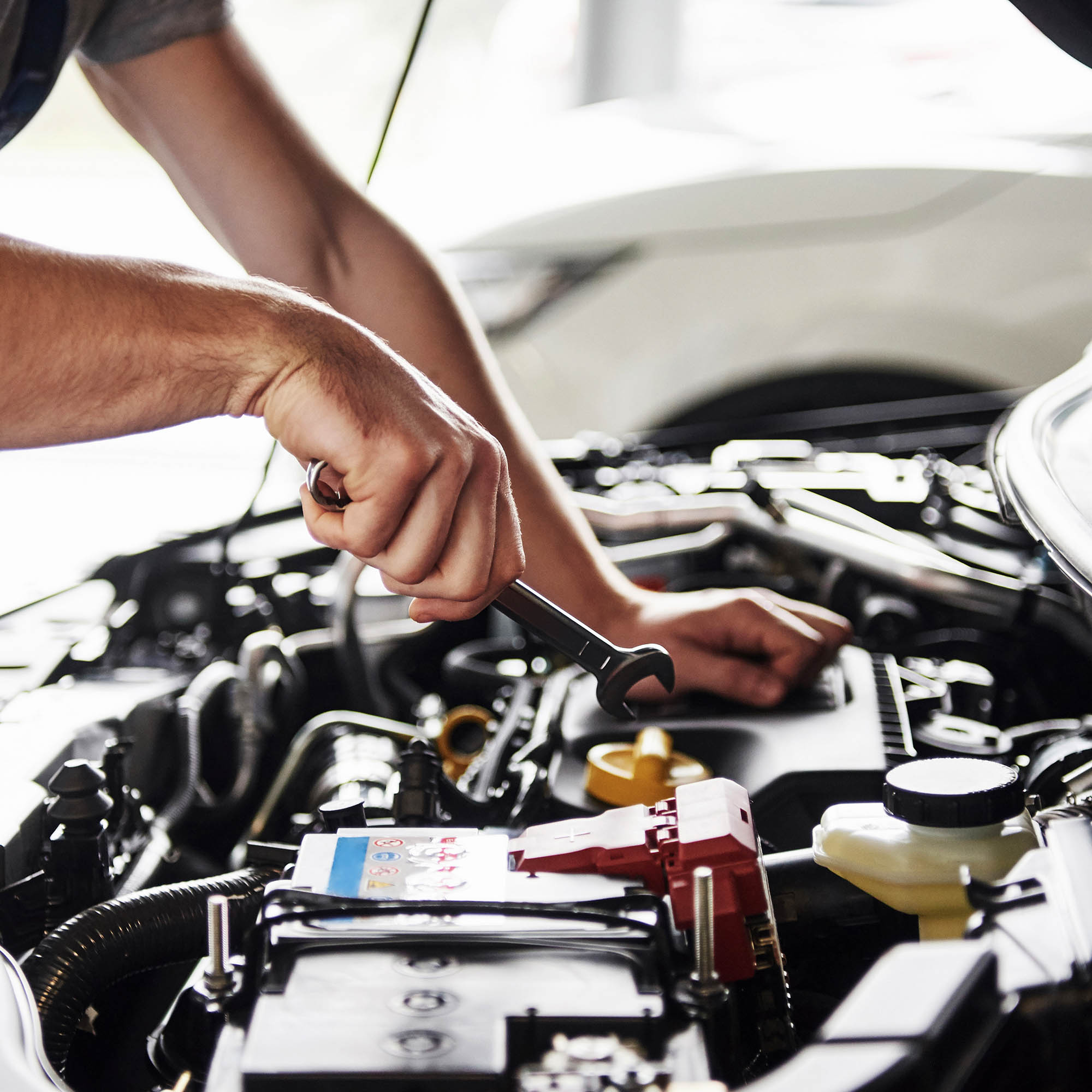 Service & Maintenance