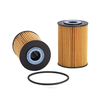 Ryco Oil Filter  R2593P