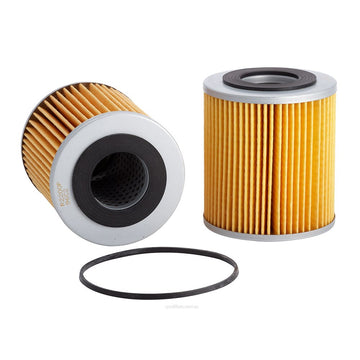 Ryco Oil Filter  R2200P