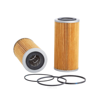 Ryco Oil Filter  R2001P