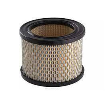 Ryco Air Filter - A5