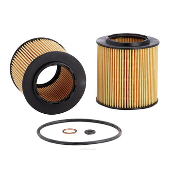 Ryco Oil Filter  R2673P