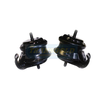 Transgold Engine Mount - TEM2321 - (Single)