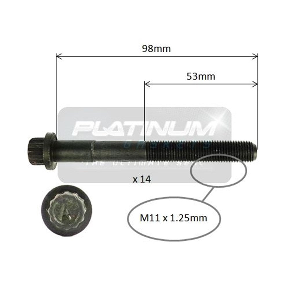 Platinum Cylinder Head Bolt Set - HBS0176