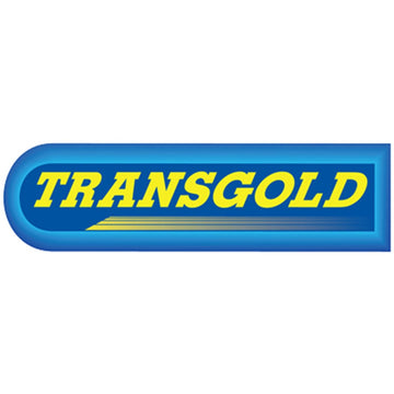 Transgold Engine Mount - TEM3164 - (Single)