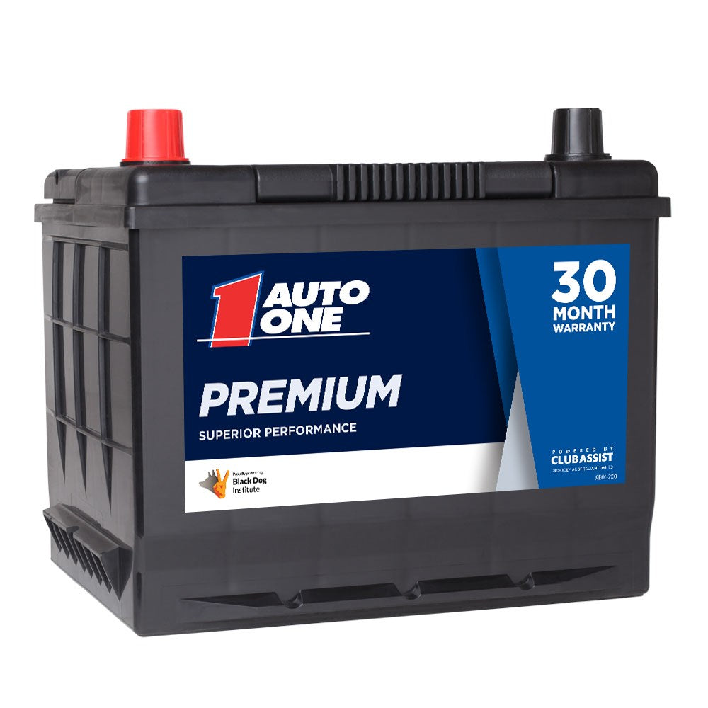 Auto One 2541 Premium Calcium Maintenance-Free 12V Battery (57 Size, 550CCA, 95RC, 55Ah) | Auto One