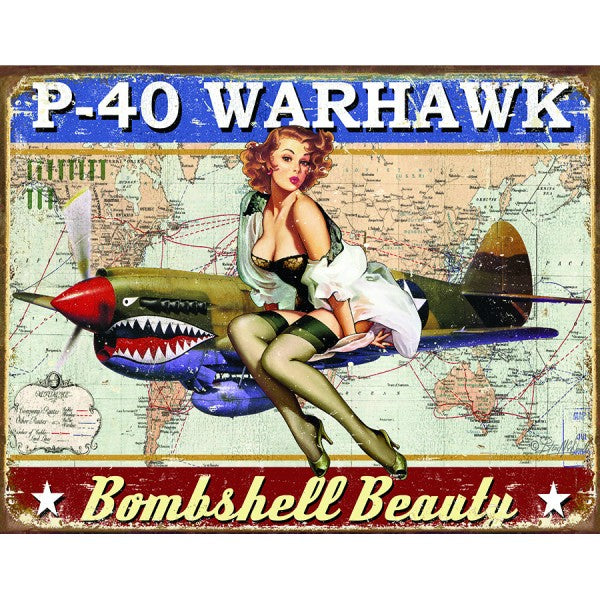 P-40 Warhawk Metal Sign Reproduction 41cm x 32cm - MSI2460 | Auto One