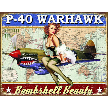 P-40 Warhawk Metal Sign Reproduction 41cm x 32cm - MSI2460