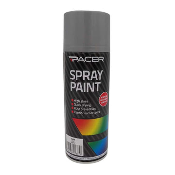 Pacer Spray Paint - Silver 250gm - PSP36