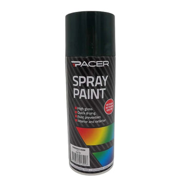 Pacer Spray Paint - Brunswick Green 250gm - PSP77