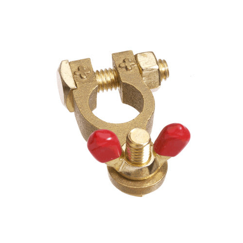 Projecta BT14-P1 Brass Wingnut Terminal Clamp, Positive
