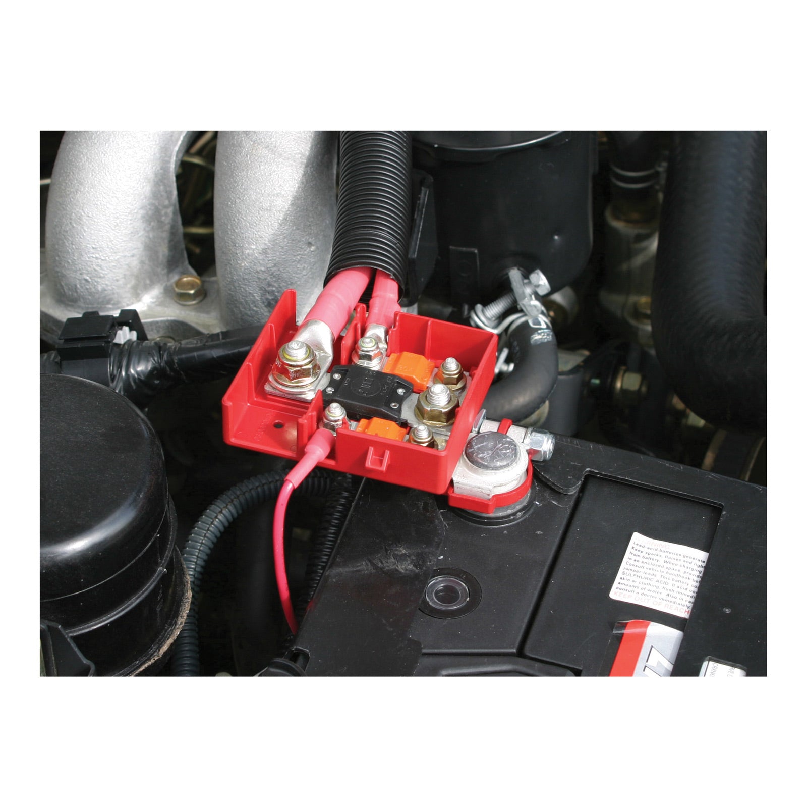 Fused battery terminal connector discount